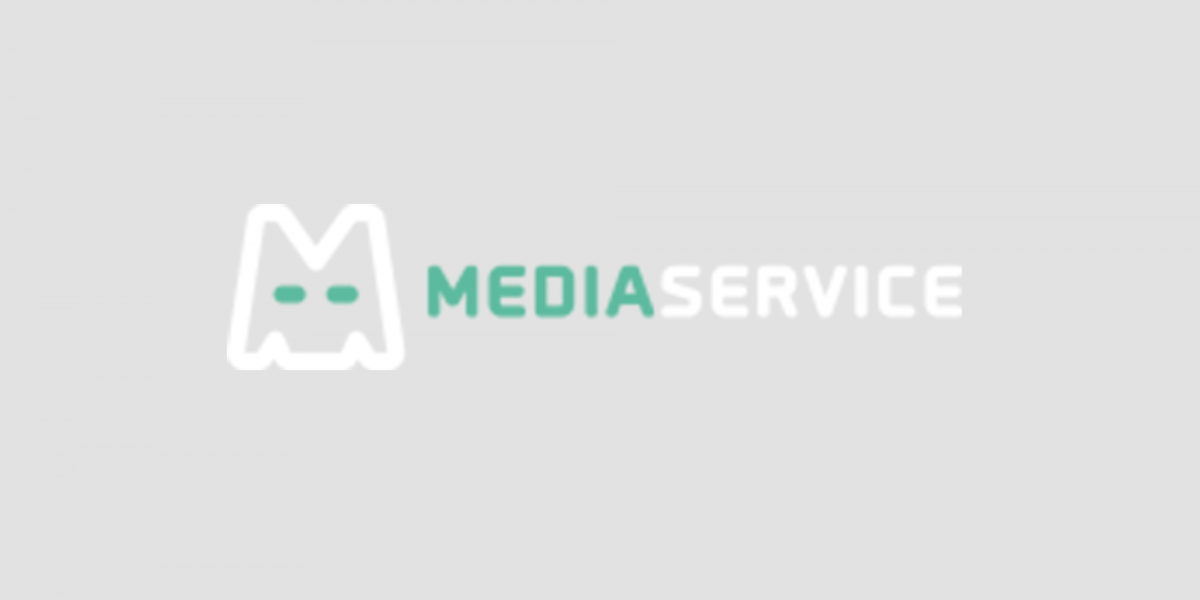 Media Service - mediaservice4.png